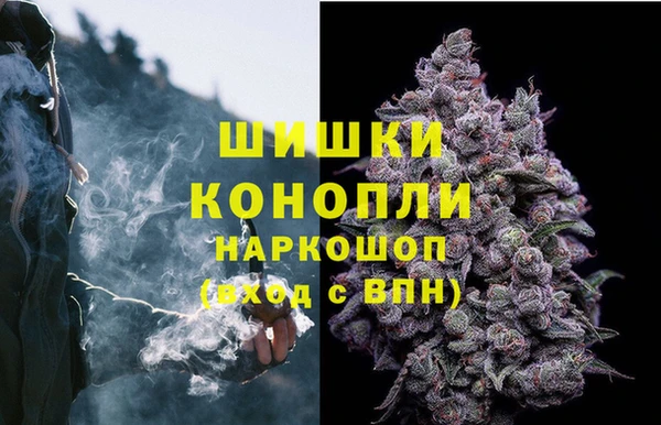 ГАЛЛЮЦИНОГЕННЫЕ ГРИБЫ Елизово
