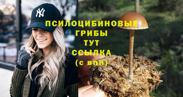 таблы Елабуга
