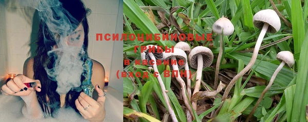 таблы Елабуга