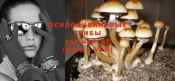 ГАЛЛЮЦИНОГЕННЫЕ ГРИБЫ Елизово