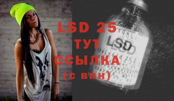 ГАЛЛЮЦИНОГЕННЫЕ ГРИБЫ Елизово