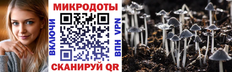 Псилоцибиновые грибы мухоморы  Купить  Мураши 